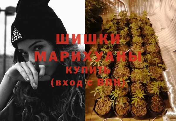 стафф Володарск